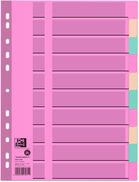 Actual product image Oxford Register A4+