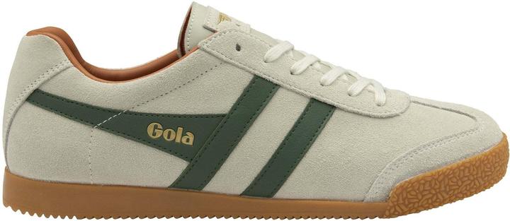 Gola Harrier (44)