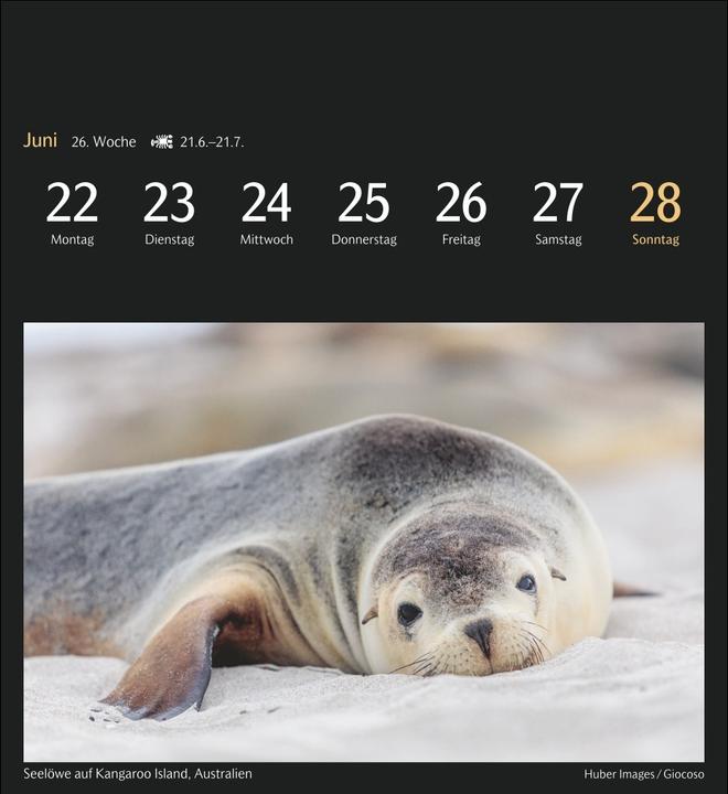 Image du produit Harenberg Die Welt in Farben Postkartenkalender 2026 - Kalender mit 53 Postkarten (Couverture rigide, Allemand)