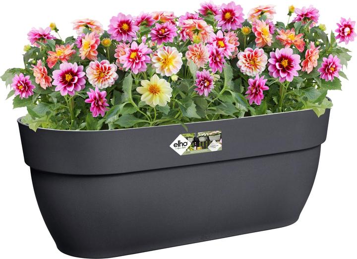 Produktbild Elho Vibia Campana Easy (46 x 46 x 27 cm)