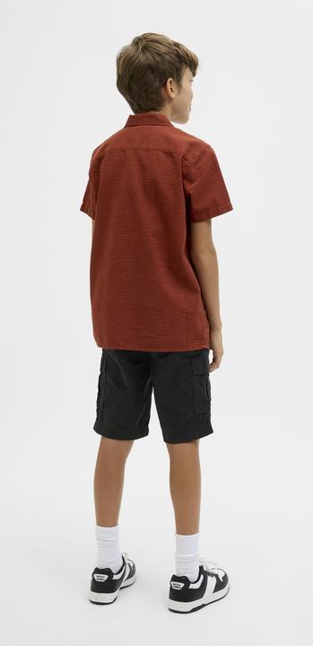 Image du produit Jack & Jones Regular Fit Cargo Shorts Junior Cargo Shorts (158)