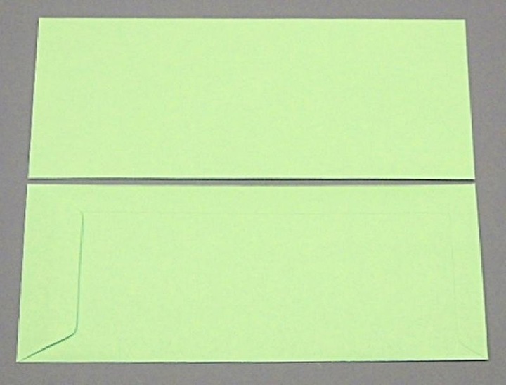 Produktbild Blanke Versandtaschen 125x312mm 120g/qm gummiert VE=100 Stück pistazie (100 x)