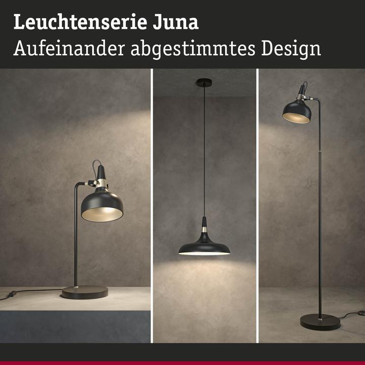 Image du produit Paulmann Juna (E14)