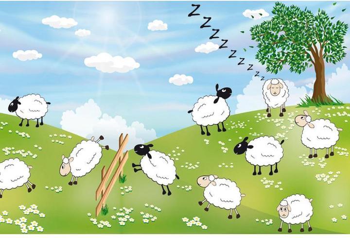 Immagine prodotto Hubatka Pellicola per finestre Sheep 70 x 150 cm, colorata