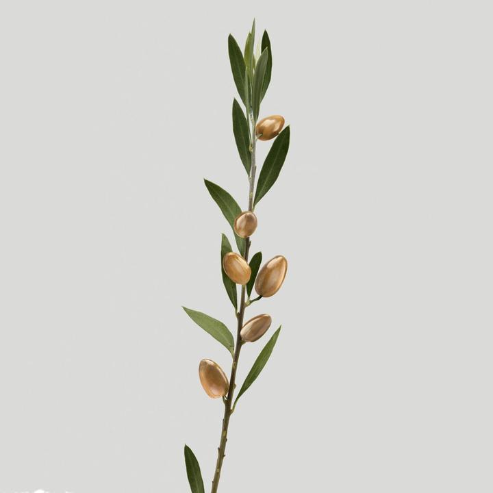 Image du produit Shu Uemura Traitement Silk Bloom (200 ml)