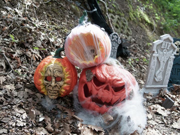 Actual product image Europalms Halloween skull pumpkin, 26cm