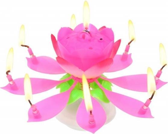 Produktbild GoDan Blumenkerze mit Musik