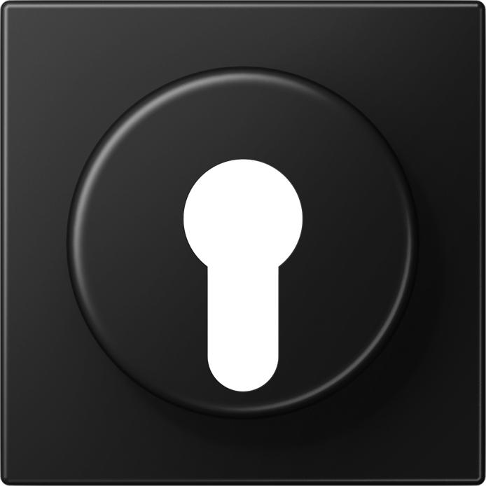 Produktbild JUNG Abdeckung Schlüssel LS gra-sw mt LS928SWM