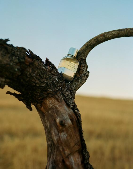 Actual product image Brunello Cucinelli Eau de Parfum Natural (Eau de parfum, 100 ml)