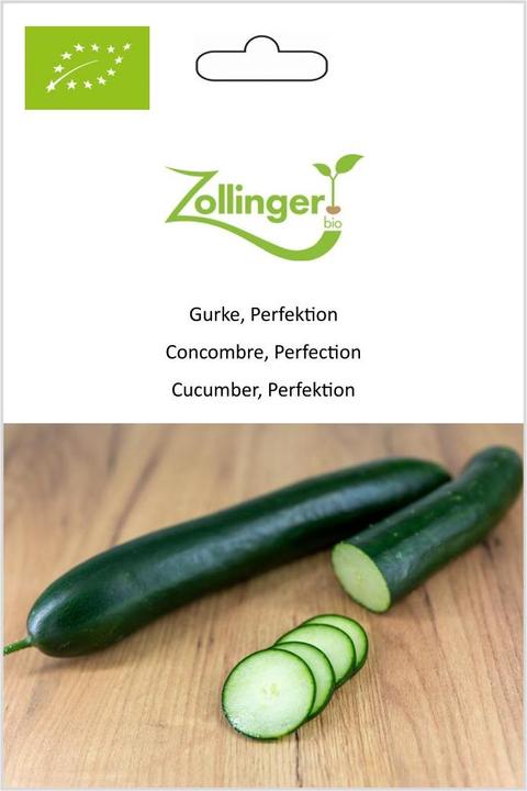 Image du produit Zollinger Bio Concombre, perfection (Graines de légumes)