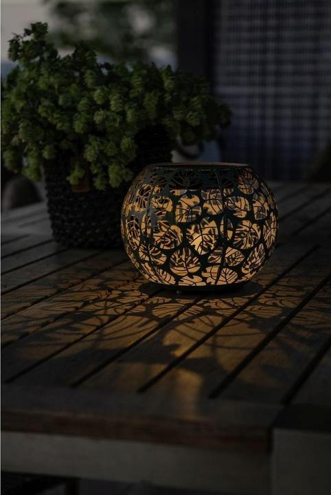 Image du produit STT Monstera