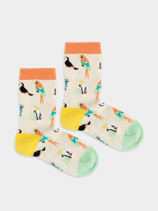 Immagine prodotto DillySocks lil Sand Aviary (Confezione singola, 19 - 22)