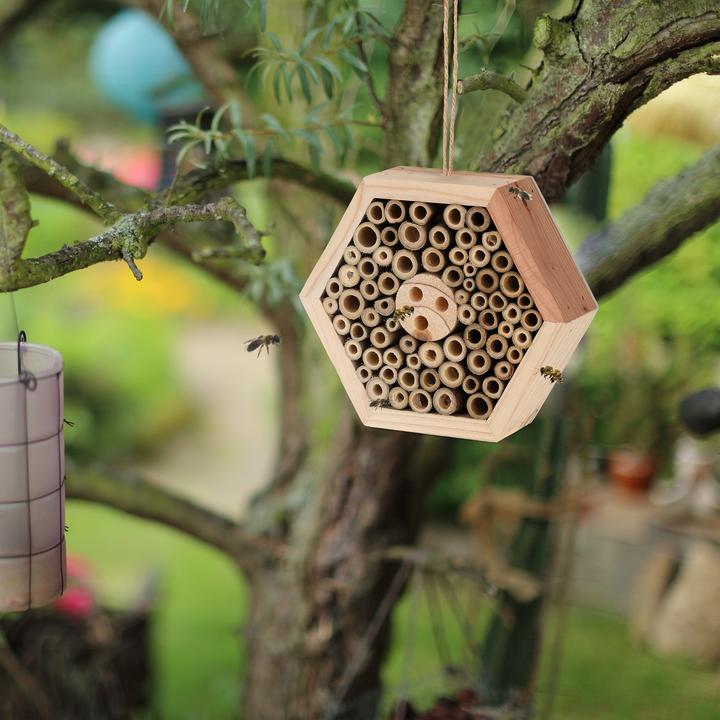 Produktbild Relaxdays Insektenhotel (Schmetterlinge, Biene, Wildbienen, Grabwespen)