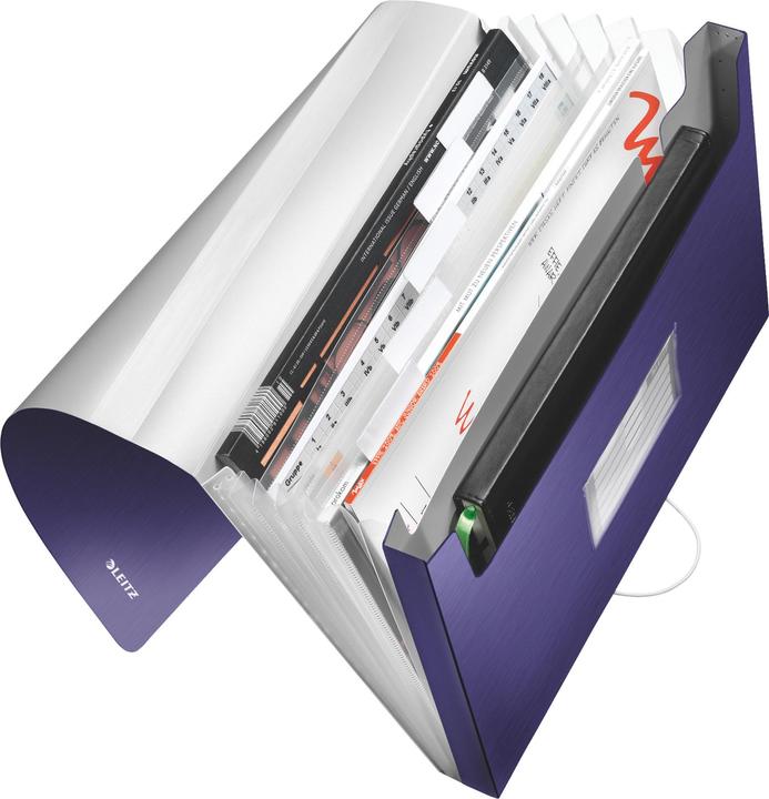 Actual product image Leitz Folder Style PP (A4, 1x)