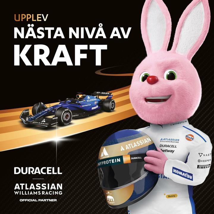 Produktbild Duracell Plus Power Boost 12x LR03 (AAA) (12 Stk., AAA)