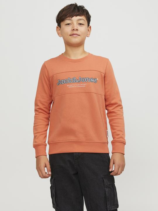 Produktbild Jack & Jones Boys Crew Neck Sweatshirt (176)
