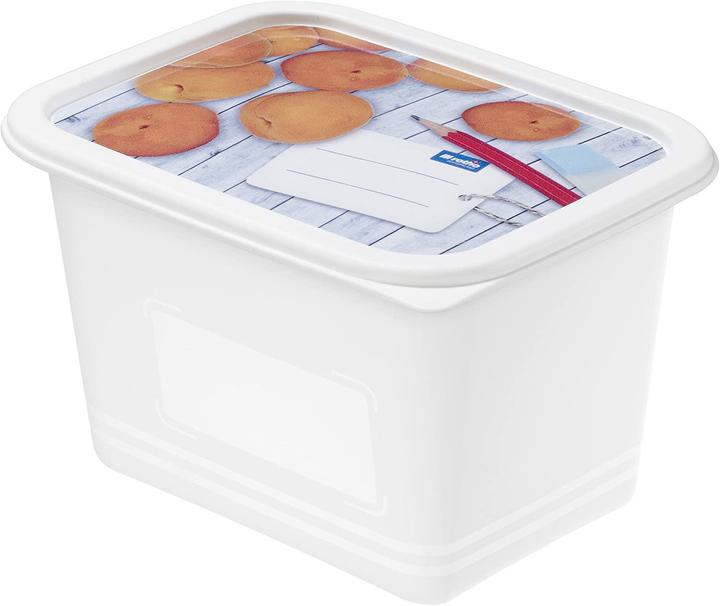 Actual product image Rotho Freezer jar set Domino decor (1 l)