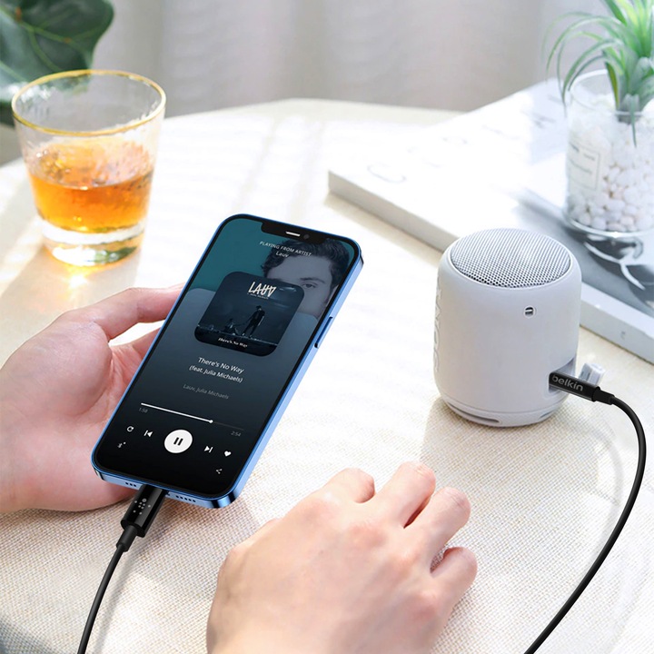 Productafbeelding Belkin Mixit Charge/Sync 0,9m (0.90 m, Bliksem)