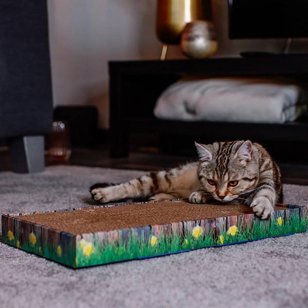 Actual product image Nobby Cardboard scratching board