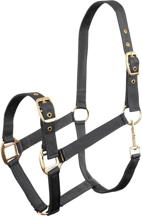 Produktbild Premiere Equitation