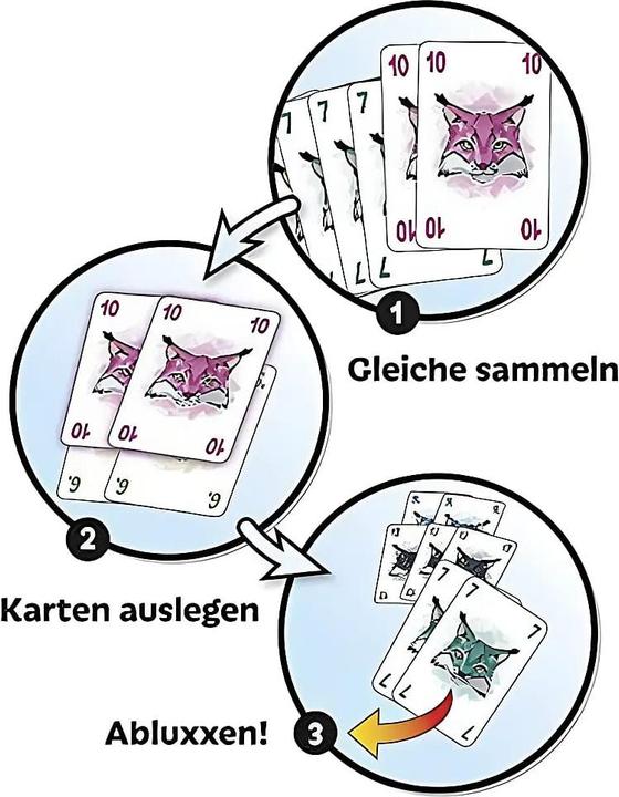 Actual product image Amigo Abluxxen (German, 2 - 5 Players)