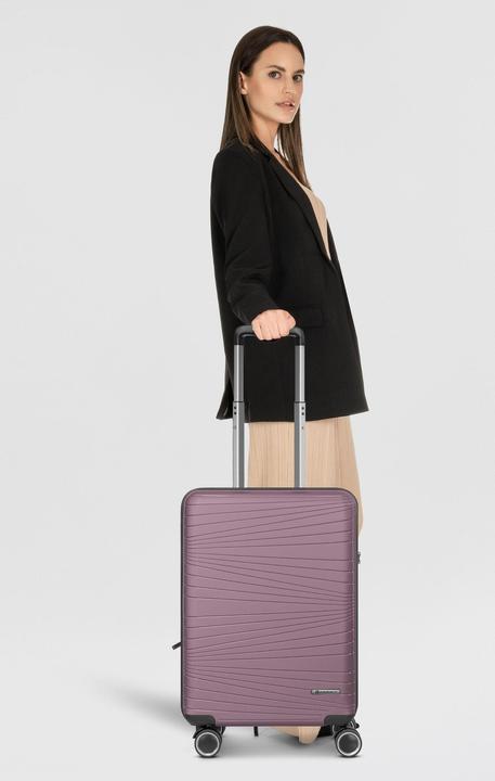 Image du produit Franky Dallas 3.0 (36 l)