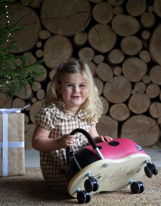 Image du produit Wheely Bug Coccinelle petite
