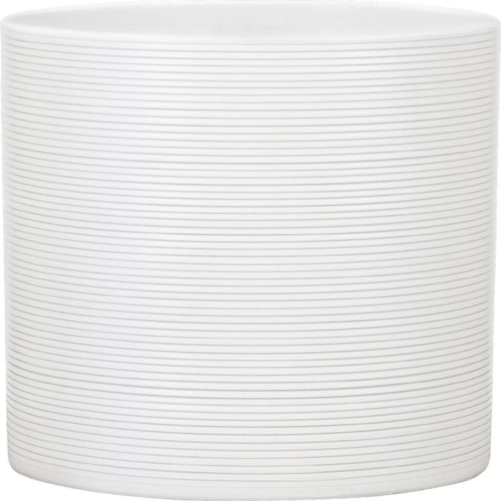 Image du produit Scheurich Panna (16 cm)