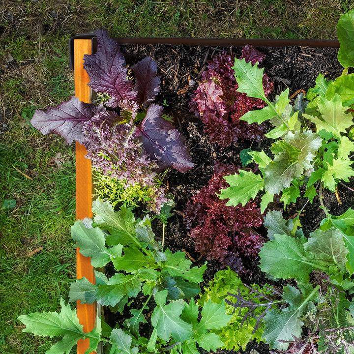 Image du produit Relaxdays Carré potager