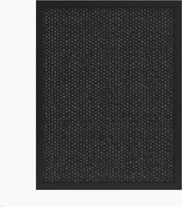 Produktbild Tesla Carbon Filter (1 x)