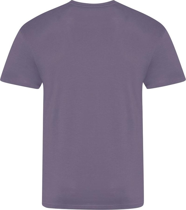 Actual product image Awdis The 100 Tshirt (XL)