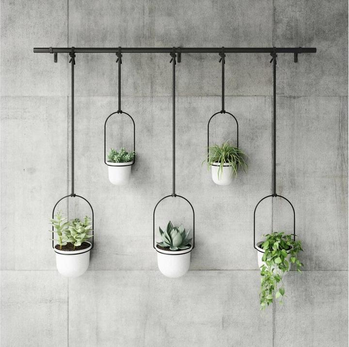 Produktbild Umbra Triflora (15 x 94 cm)