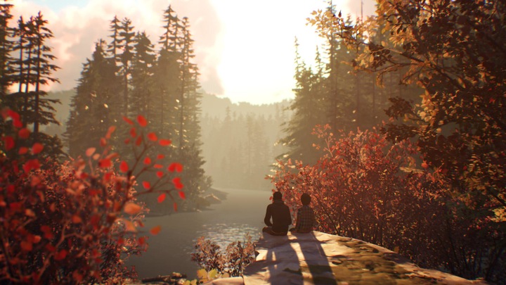Produktbild Square Enix Life is Strange 2 (PS4)