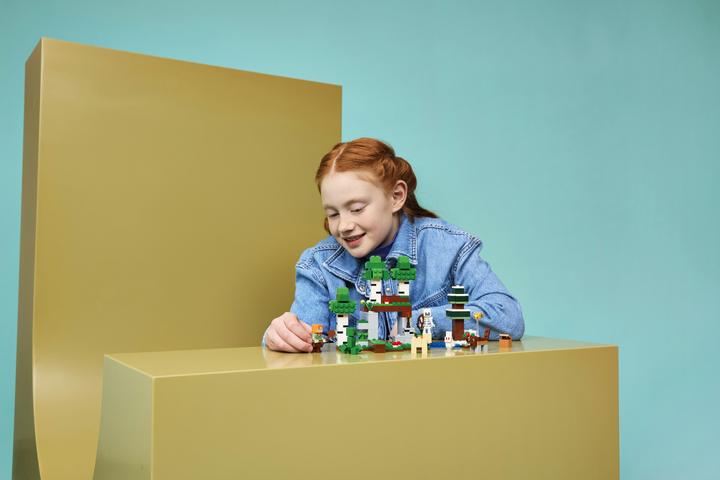 Produktbild LEGO Erstes Abenteuer in der Nacht (21593, LEGO Minecraft)