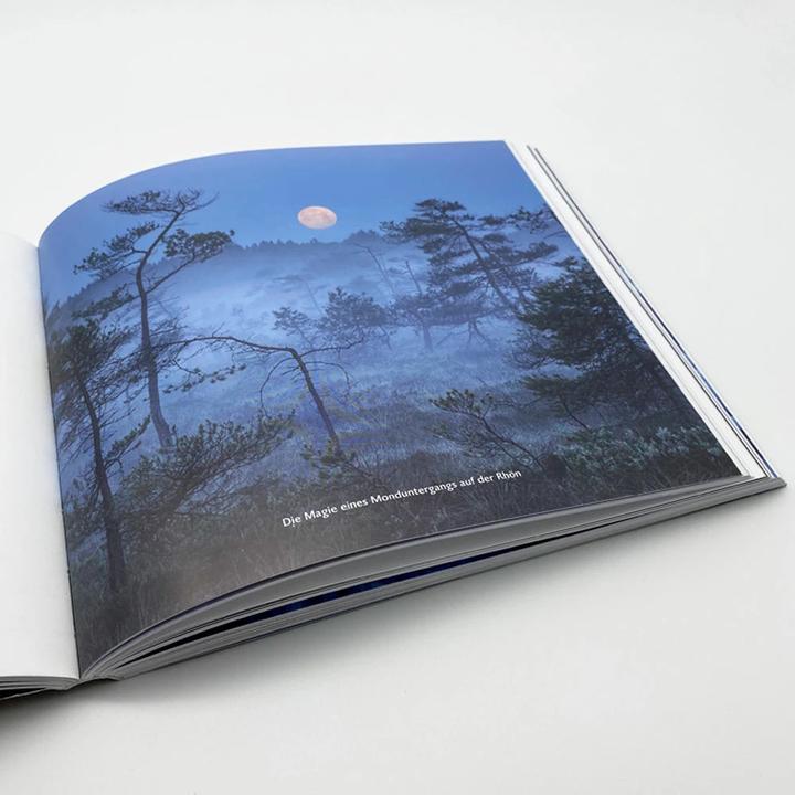 Produktbild Nachts im Wald (Deutsch, Kilian Schönberger, 2020)