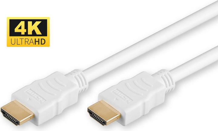 Video Kabel