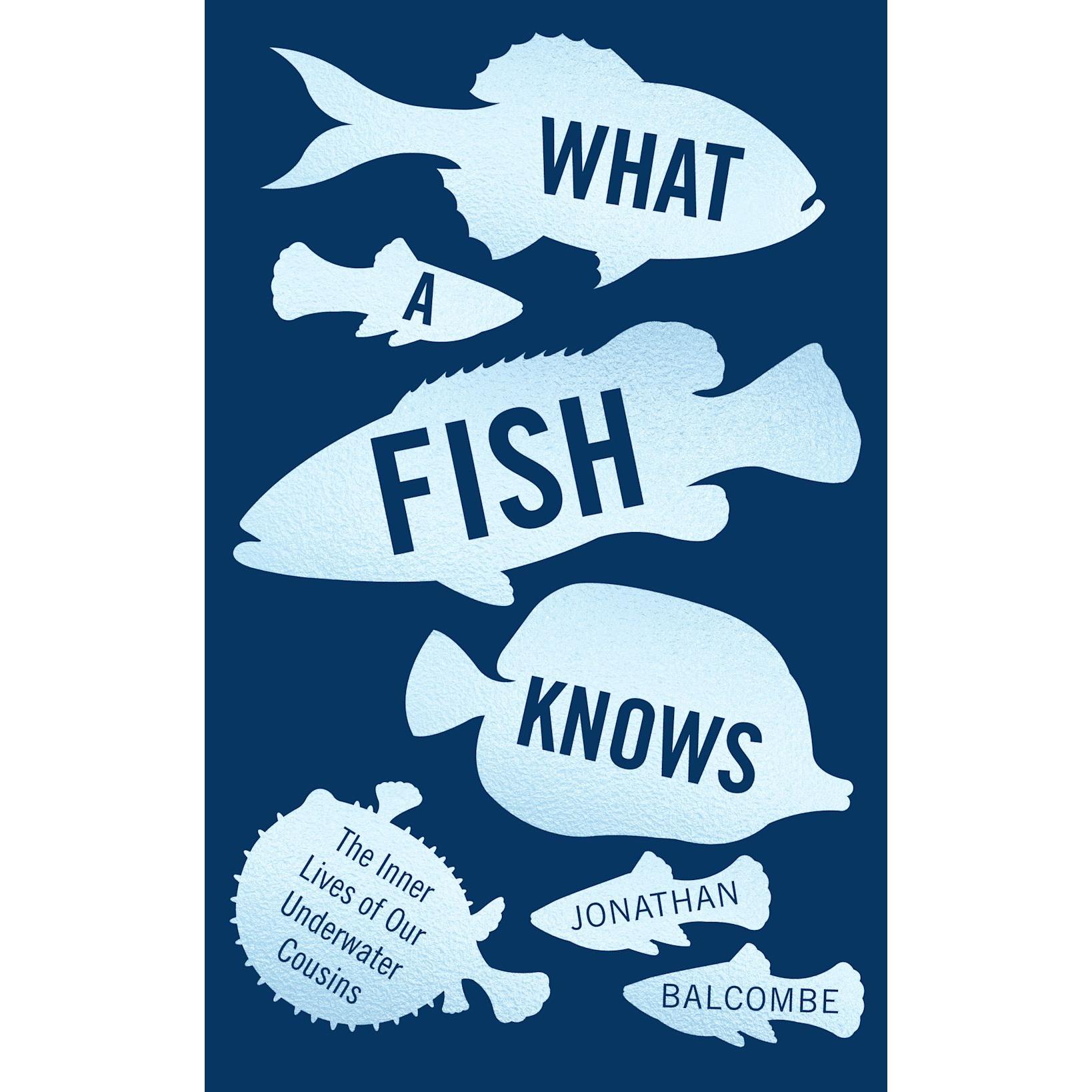 Thumbnail - What a Fish Knows, Fachbücher von Jonathan Balcombe