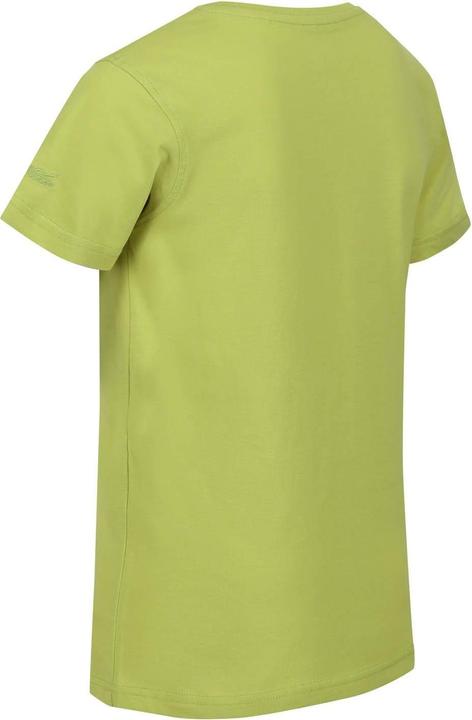 Produktbild Regatta Bosley VI Hawaii TShirt (116)