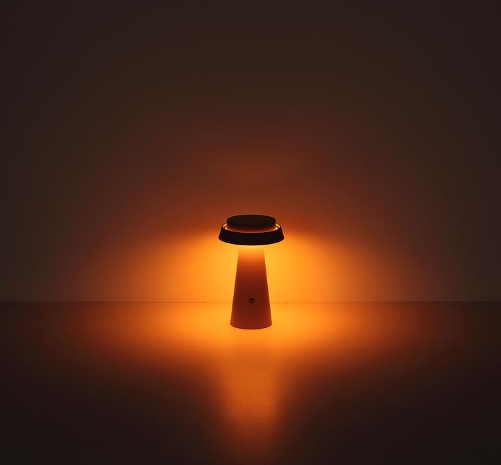 Actual product image Globo Solarleuchte Kunststoff Pink, 1xled (IP54)