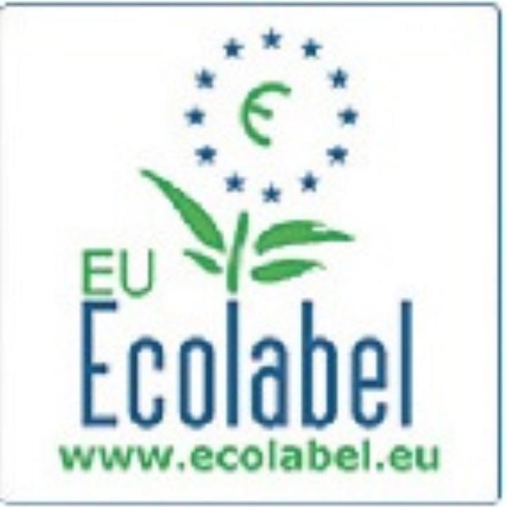 Actual product image Scott Toilet paper (6 pcs.)