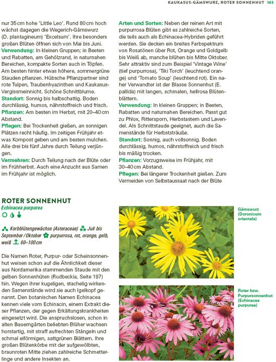 Produktbild Das grosse Buch der Stauden und Sommerblumen (Deutsch, Joachim Mayer, 2025)