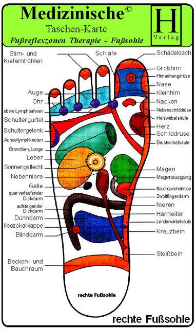 Energy Label The foot reflex zones (German, Hawelka, 2011)