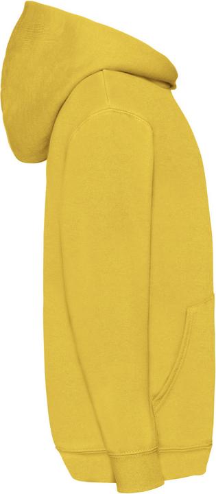 Image du produit Fruit of the Loom Pull à capuche (140)