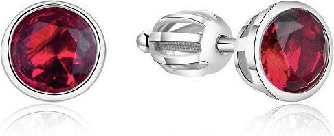 Immagine prodotto Beneto Orecchini in argento con zircone luccicante AGUP1717S (L)