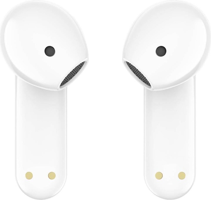 Actual product image Timekettle WT2 Edge real-time translator (online version)