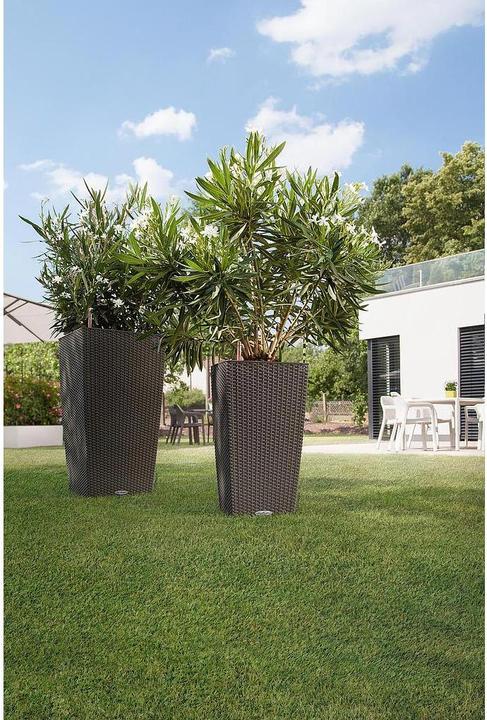 Actual product image Lechuza Cubico Cottage (39.50 cm)
