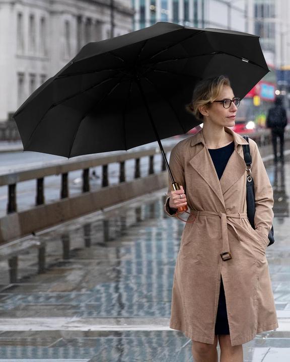 Produktbild Alopini Automatischer grosser sturmsicherer Regenschirm, Taschenschirm mit belüftetem Doppeldach und