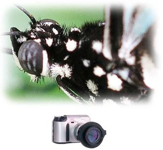 Immagine prodotto Raynox DCR-250, Macro / Close-up Lente frontale (Anello intermedio macro, Universale)