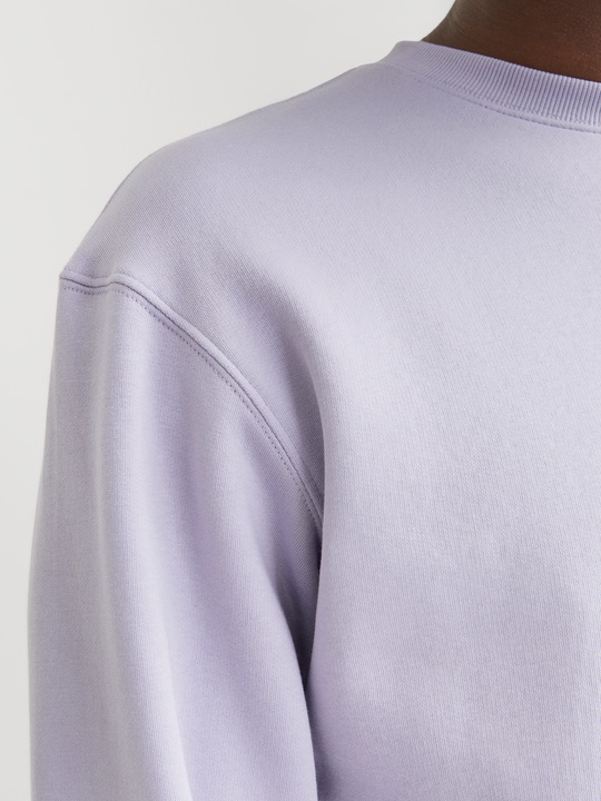 Actual product image Jack & Jones Jjestar Basic Sweat Crew Neck Noos (XS)
