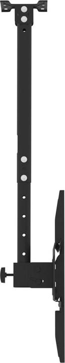 Actual product image vidaXL TV-Deckenhalterung (Ceiling, 40 kg, 32" - 65")